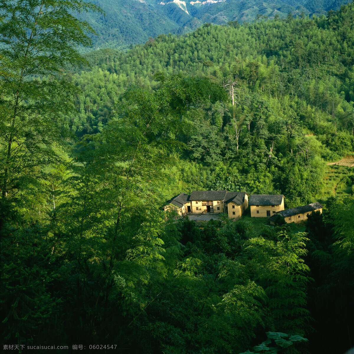 深山 树林 人家 高山 绿树 青松 森林 茂密 翠绿 房屋 寺庙 住所 自然景观 高清图片 山水风景 风景图片