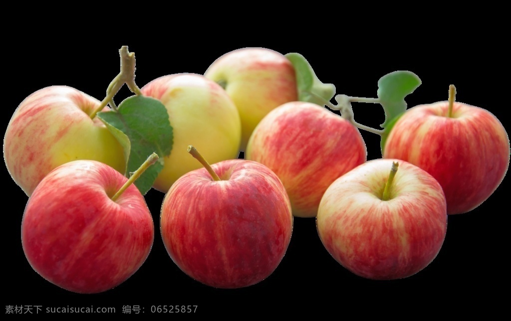 有机苹果 陕西苹果 冰糖心苹果 红苹果 甜苹果 苹果树 蛇果 花牛苹果 红富士苹果 苹果园 采摘苹果 苹果种植 农场农庄 苹果林 丰收的果园