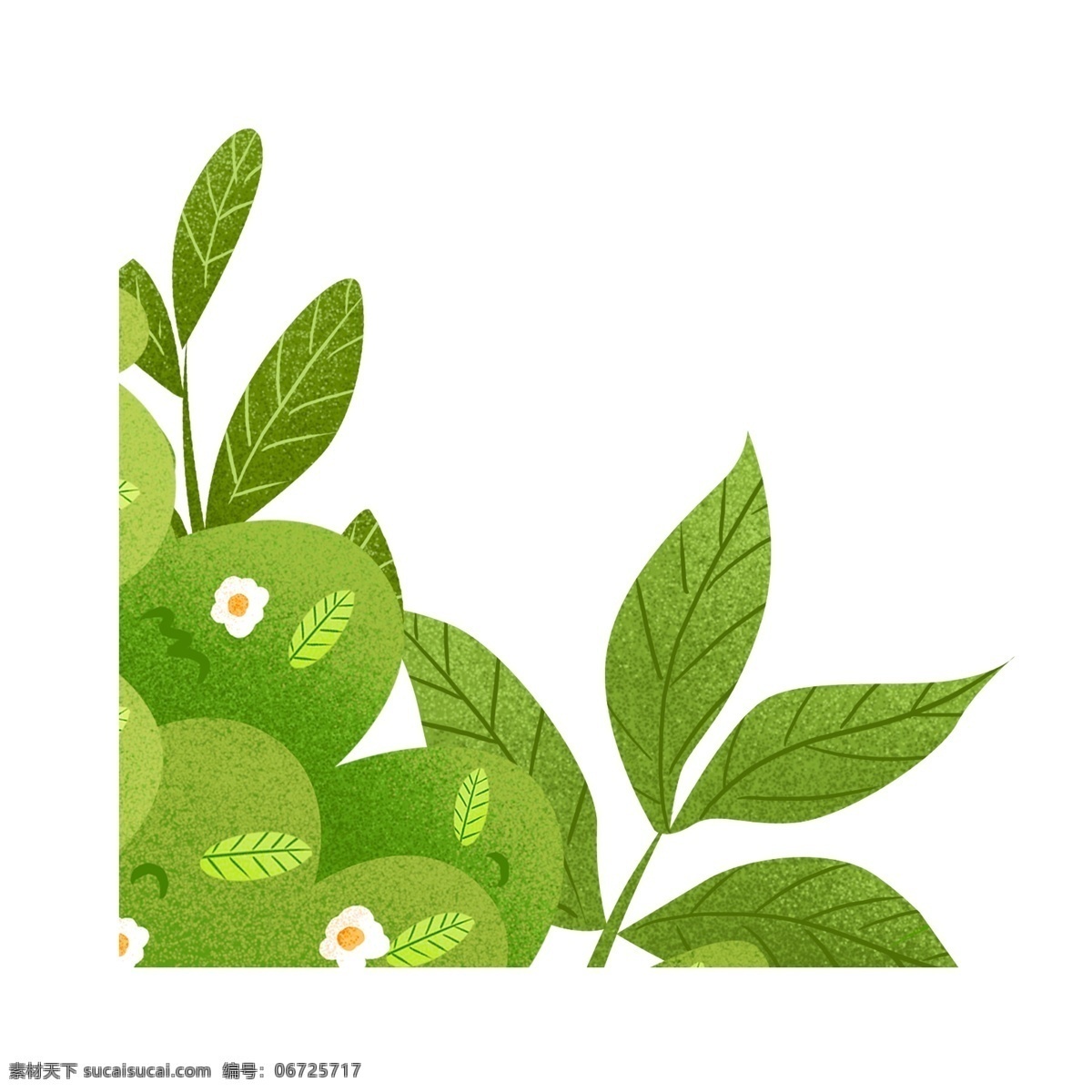 手绘 绿色 叶子 元素 装饰图案 免扣素材 透明素材 植物 小草