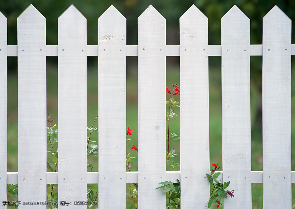 白色 木 栅栏 白色的木栅栏 木栅栏 花园 生活百科 生活素材