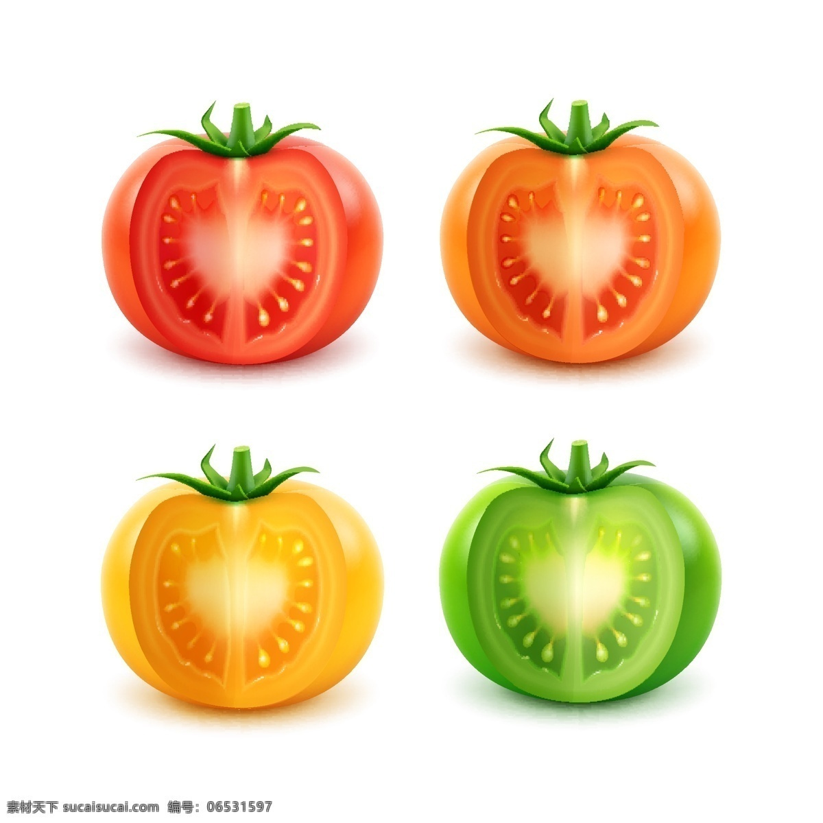 不同 颜色 西红柿 番茄 红色番茄 橙色番茄 黄色番茄 绿色番茄 食材 果蔬 矢量素材