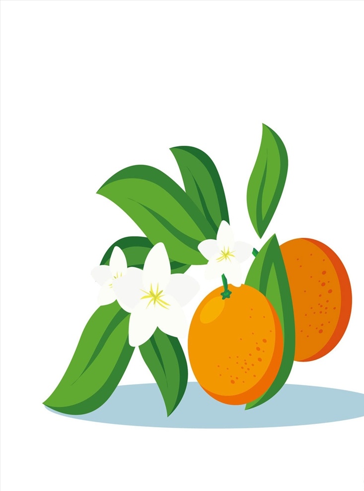 橘子 各种卡通橘子 水果 漩涡橘子 动漫动画