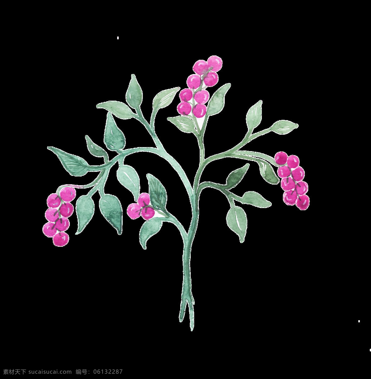 棵 粉红色 野 果树 装饰 果实 绿叶 免扣素材 树叶 树枝 透明素材 装饰图片