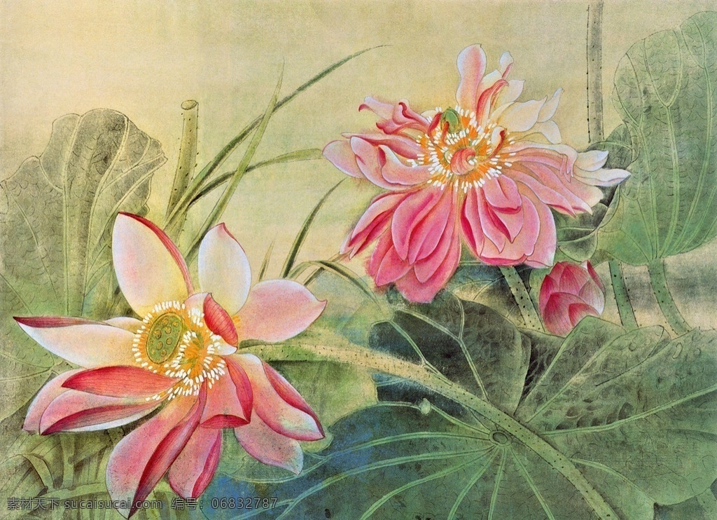 装饰画荷花 装饰画 荷花 国画 水彩画 工笔画 文化艺术 绘画书法