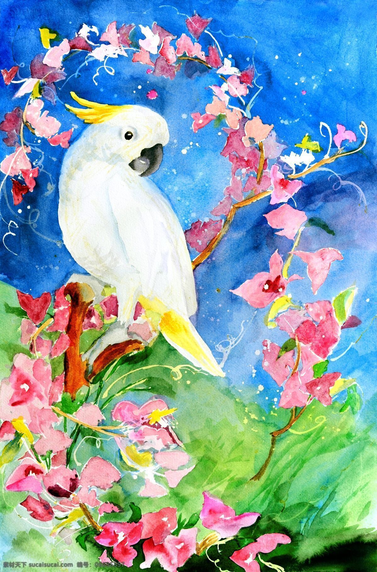 水彩 鹦鹉 花鸟画 鸟类动物 鹦鹉插画 水彩动物插画 绘画艺术 水彩画 陆地动物 生物世界 白色
