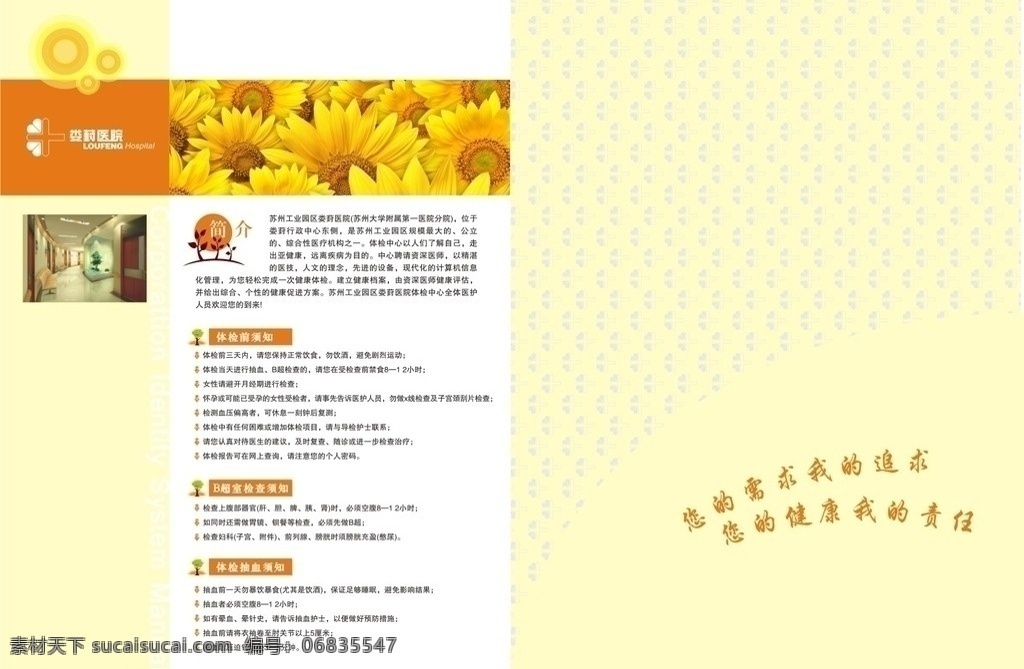 医院画册 医院折页 封面封底 蝴蝶 向日葵 画册设计 矢量