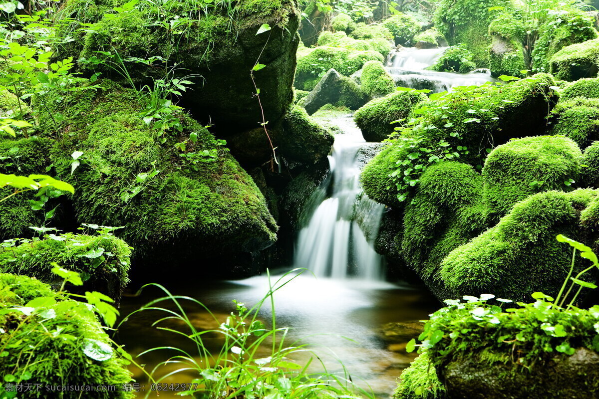 绿色 山间 小溪 风景 高清 绿色风景 山水 溪流 山涧 岩石