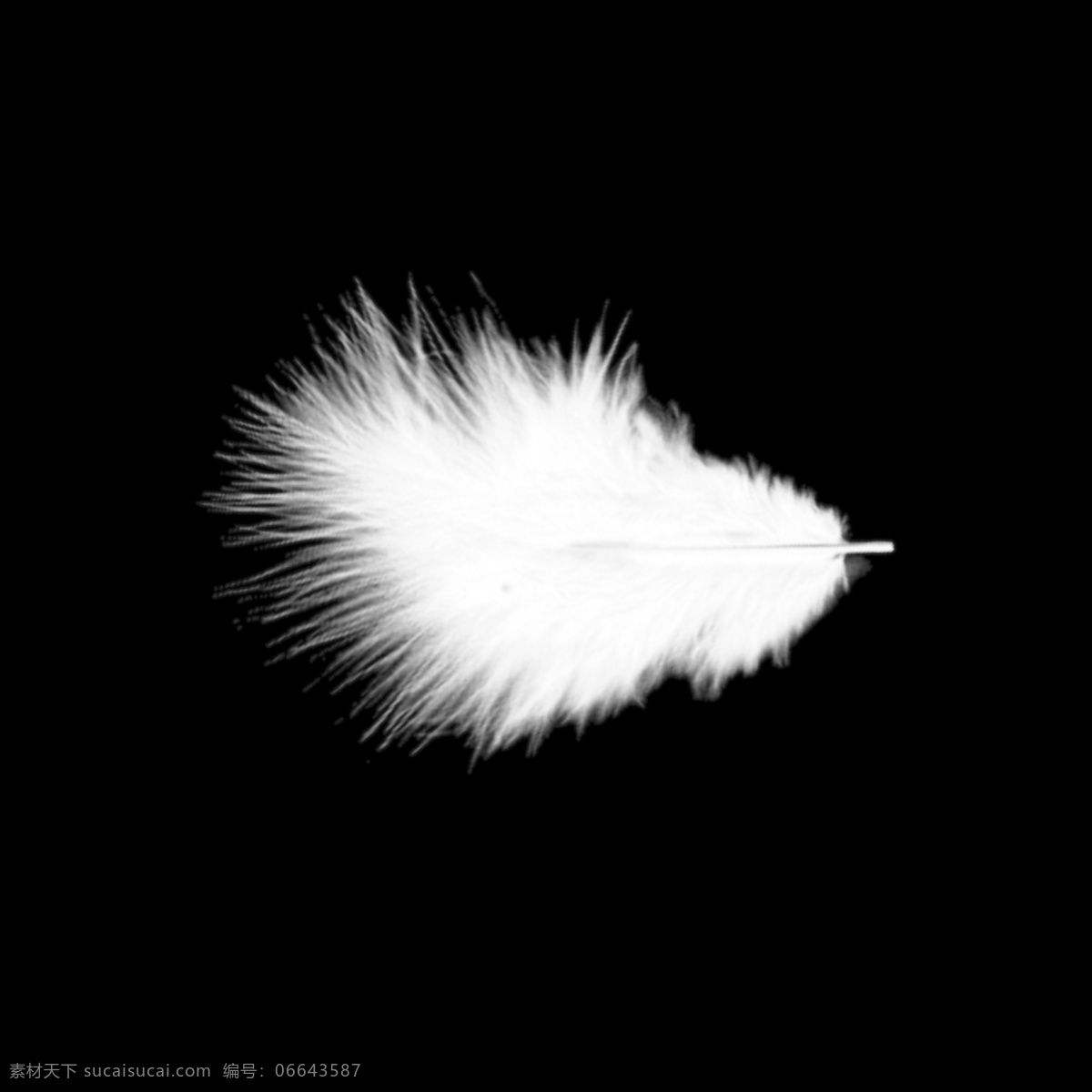 手绘 白色 漂浮 羽毛 小清新 装饰
