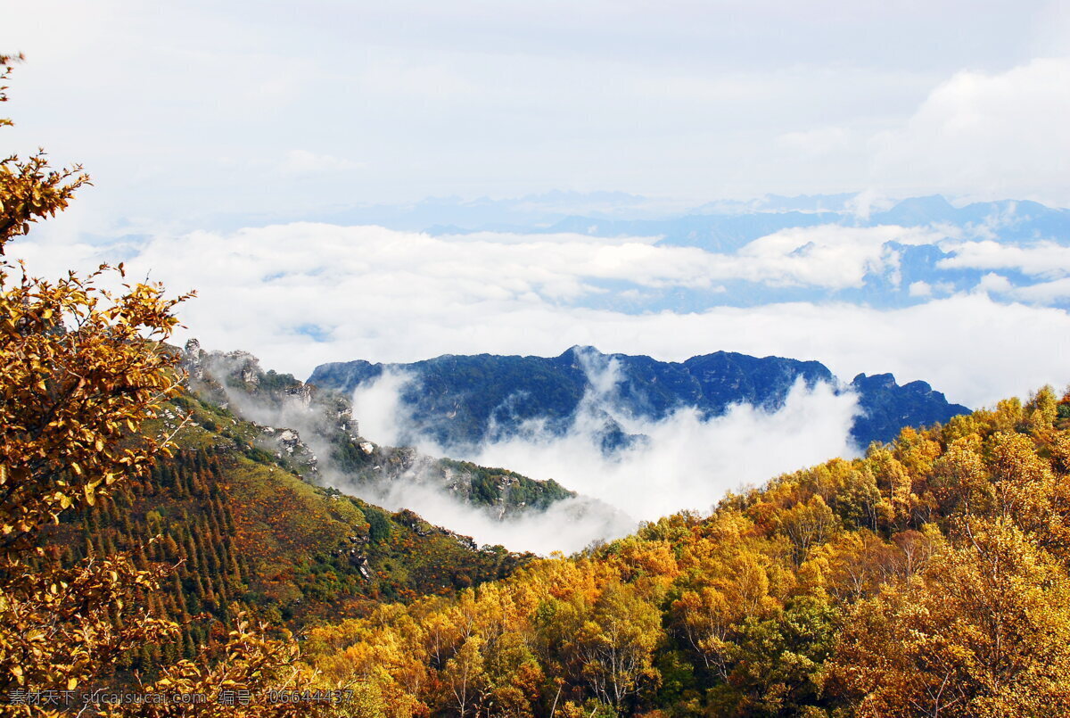 秋天 秋季 山顶 云雾 云海