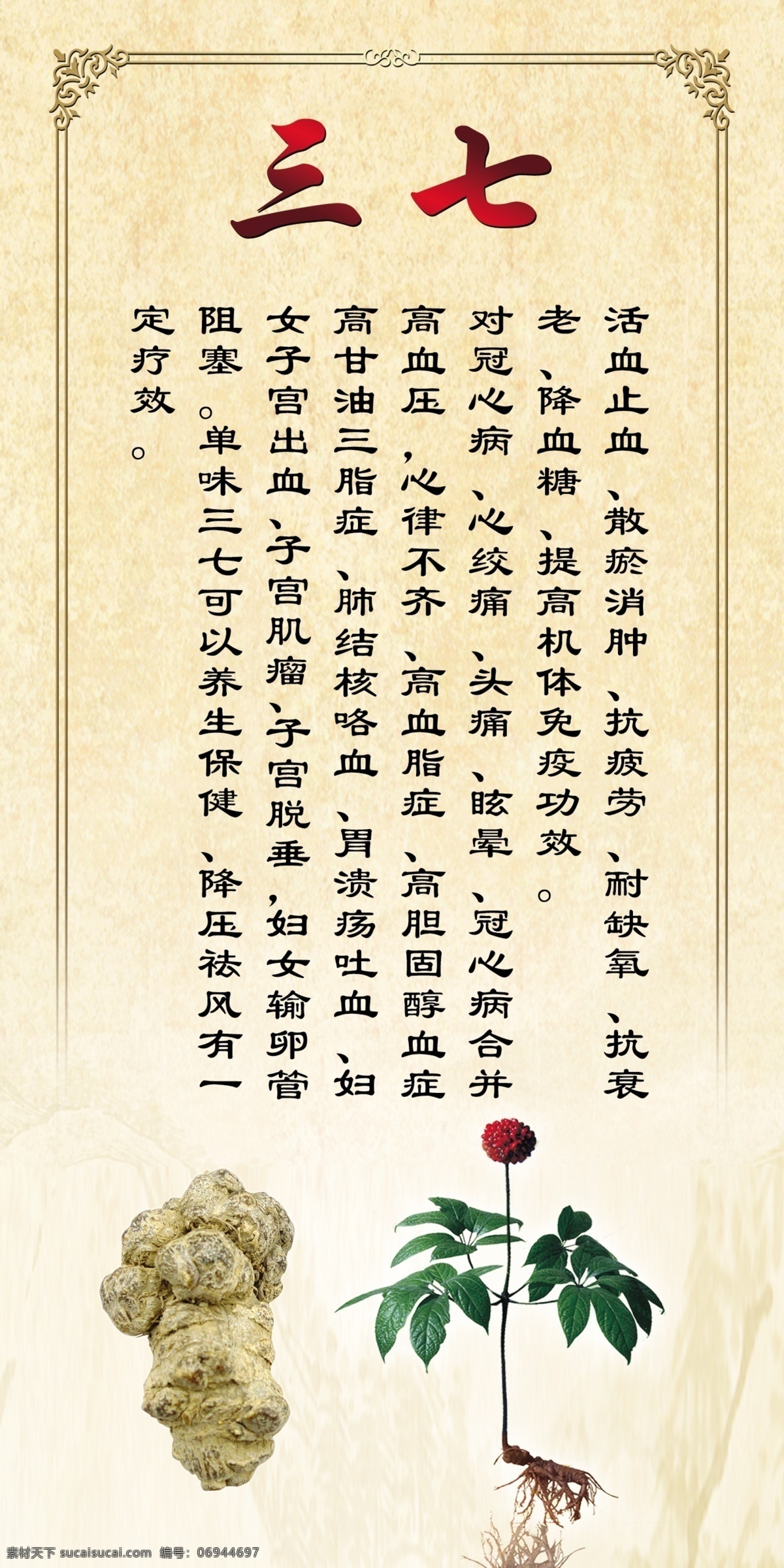 三七 三七展板 三七海报 云南特产 云南特产三七 分层