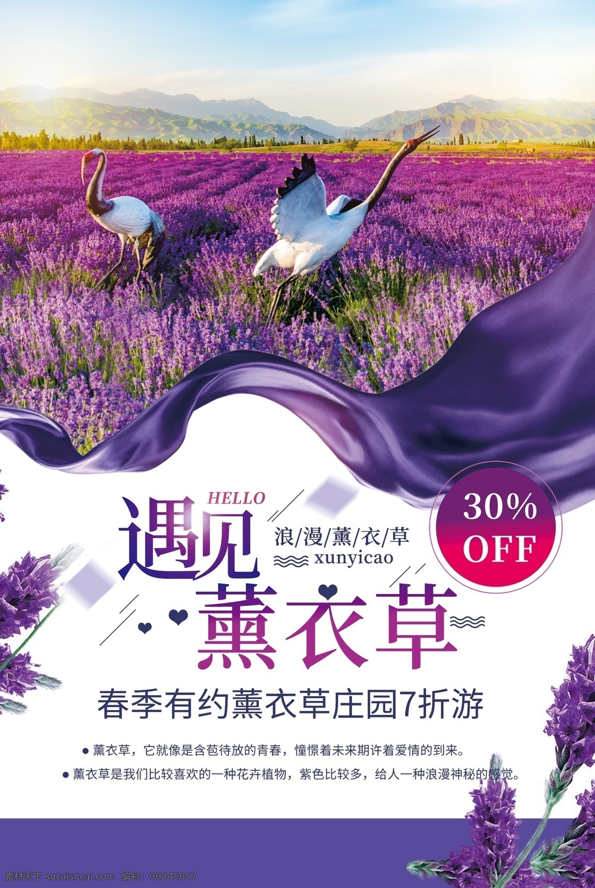 花店海报 花店广告 鲜花店 花店背景 薰衣草海报 薰衣草园 薰衣草广告 薰衣草宣传页 香草 香料 薰衣草素材 薰衣草干花 薰衣草香薰 薰衣草花海 薰衣草庄园 薰衣草摄影 薰衣草特写 薰衣草精油 薰衣草节 薰衣草季 薰衣草文化 薰衣草文化节 浪漫薰衣草 花海 薰衣草茶 薰衣草设计 薰衣草宣传