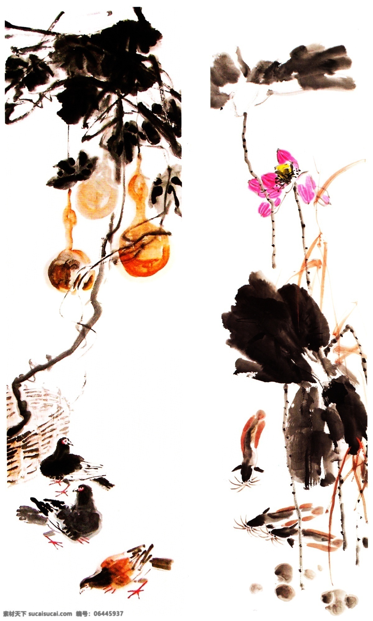 荷花 葫芦国画 葫芦藤国画 荷花国画 荷叶国画 葫芦水墨画 荷花水墨画 国画习作 国画素材 背景装饰画 室内挂画 装饰画 国画集 绘画书法 文化艺术
