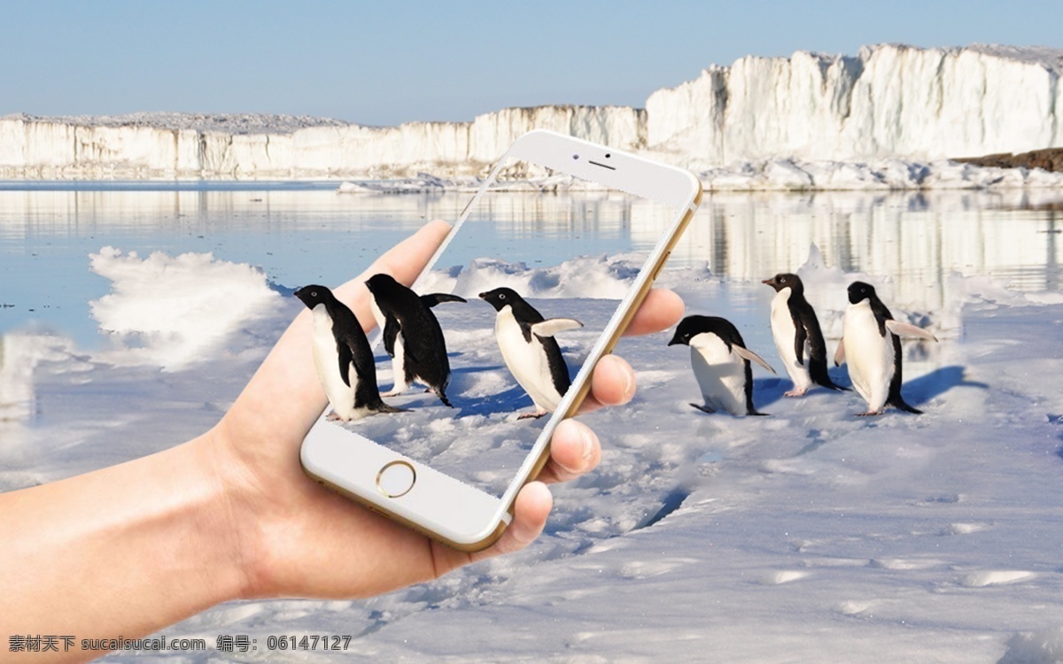 南极手机海报 苹果手机 冰川风景 冰川 湖面 雪地 企鹅