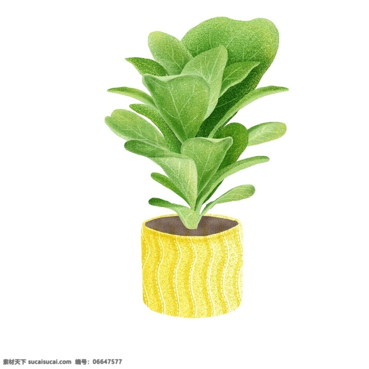 绿色 清新 卡通 盆栽 植物 花盆 绿植 插画设计