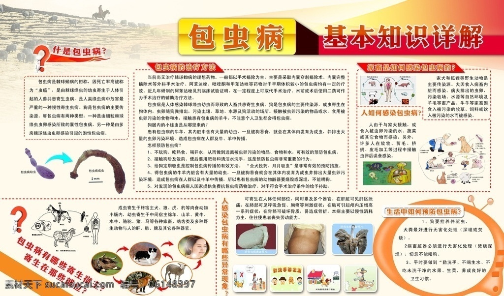 包虫病 基本知识 牧羊人 苹果型文字框 插图 分层