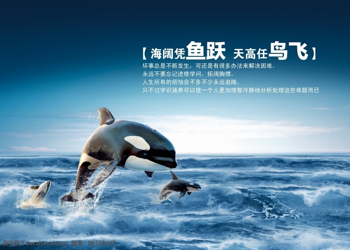 海洋海豚 海洋 海豚 鱼跃 天空海洋 广告素材 ps 分层 广告模版 创意 dm单 吊旗 海报 招贴 文字排版 平面 背景 招贴设计