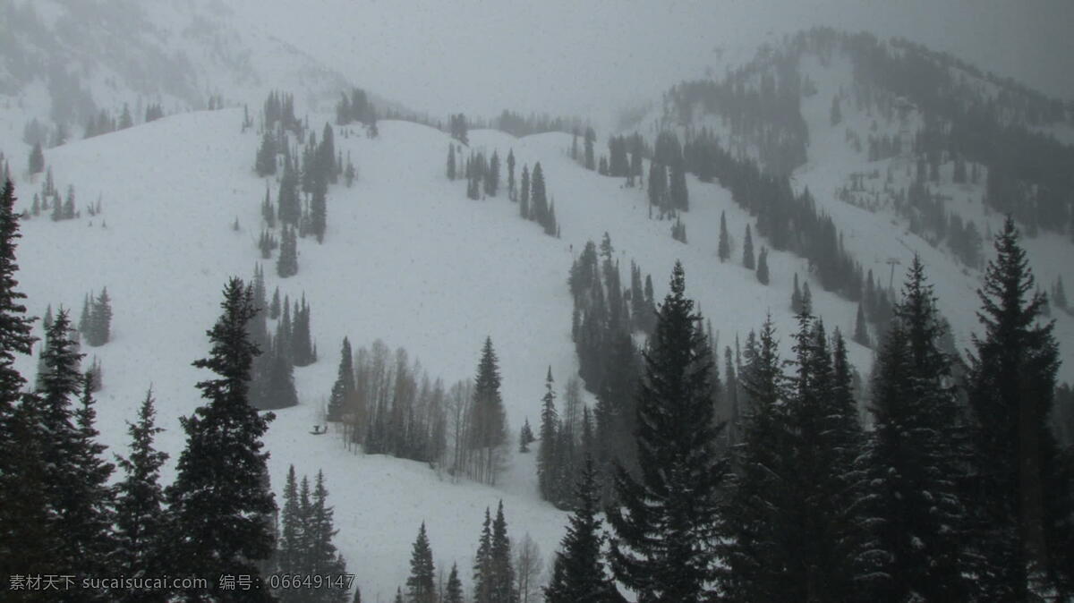 山坡 上 暴风雪 股票 录像 山 视频免费下载 树 松树 雪 犹他州 山腰 其他视频