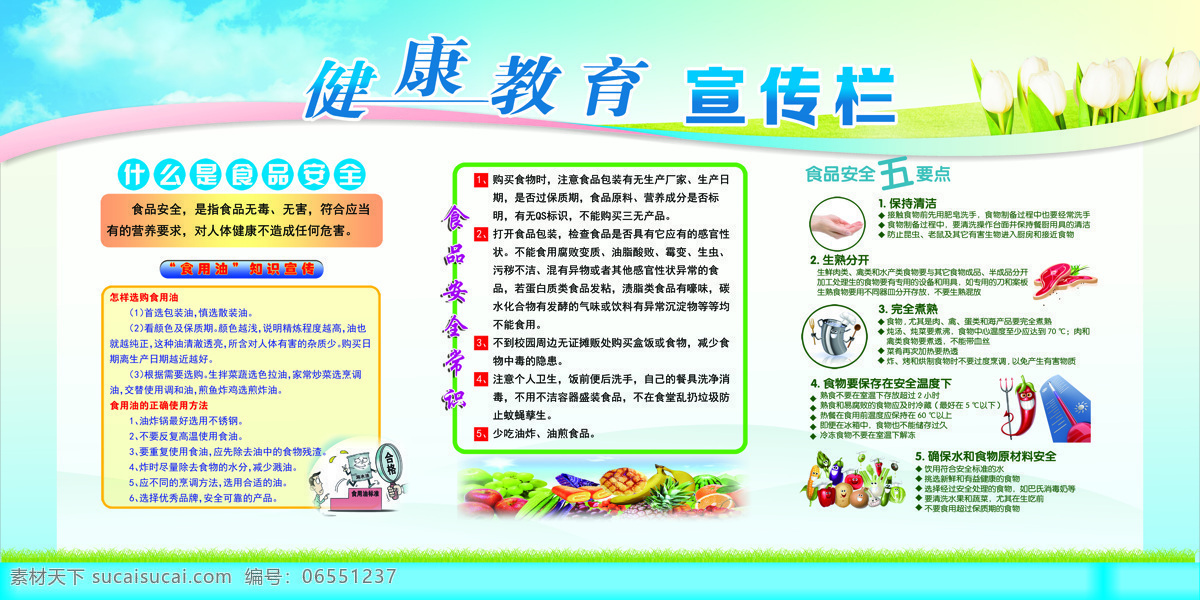健康教育 宣传栏 食品安全常识 安全五要点 食用油知识 少吃油炸食品 食品完全煮熟