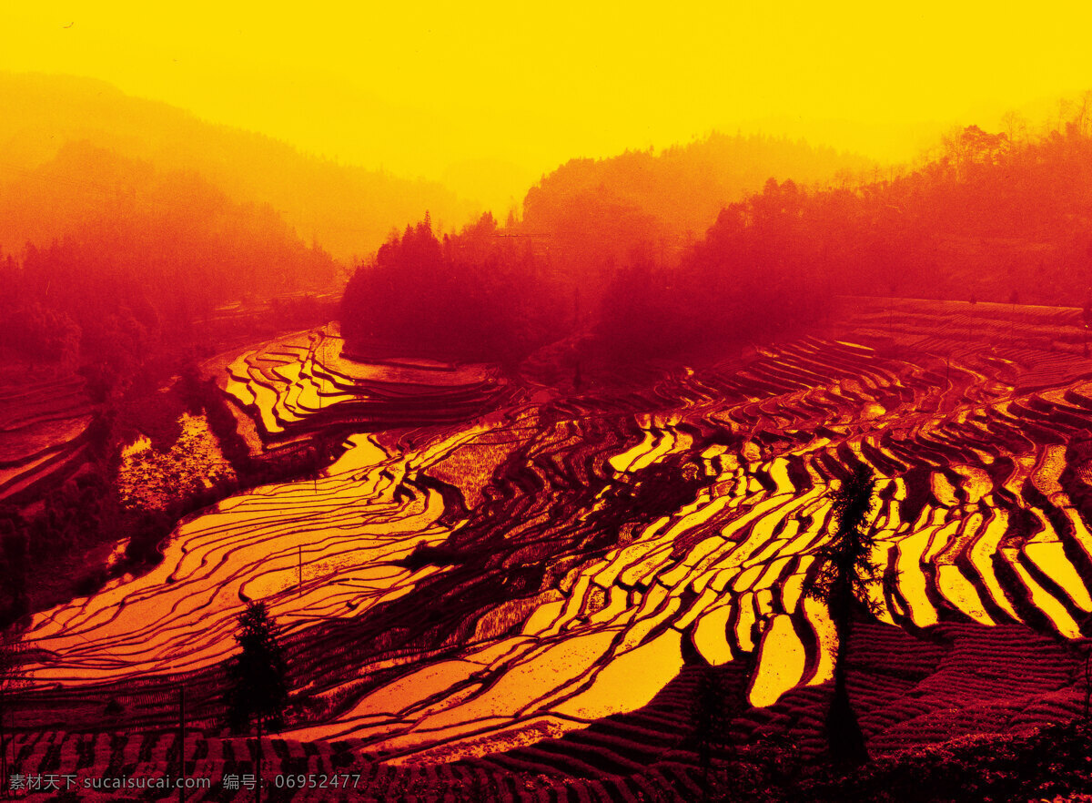 风景 风景画 风景名胜 古画 画 绘画 梯田 艺术画 四姑娘山 风景名胜系列 自然景观 装饰素材 山水风景画