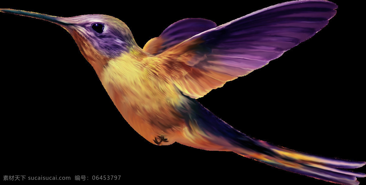 帅气 紫色 展翅 飞翔 小鸟 产品 实物 产品实物 动物 鸟类 紫色翅膀