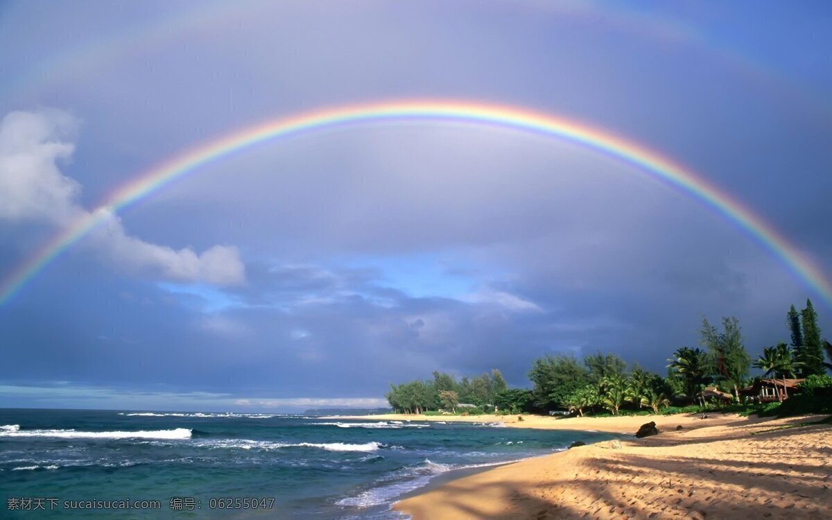 彩虹 大海 沙滩 沙子 海滩 树木 绿树 树 海洋 海 白云 蓝天 旅游摄影 自然风景