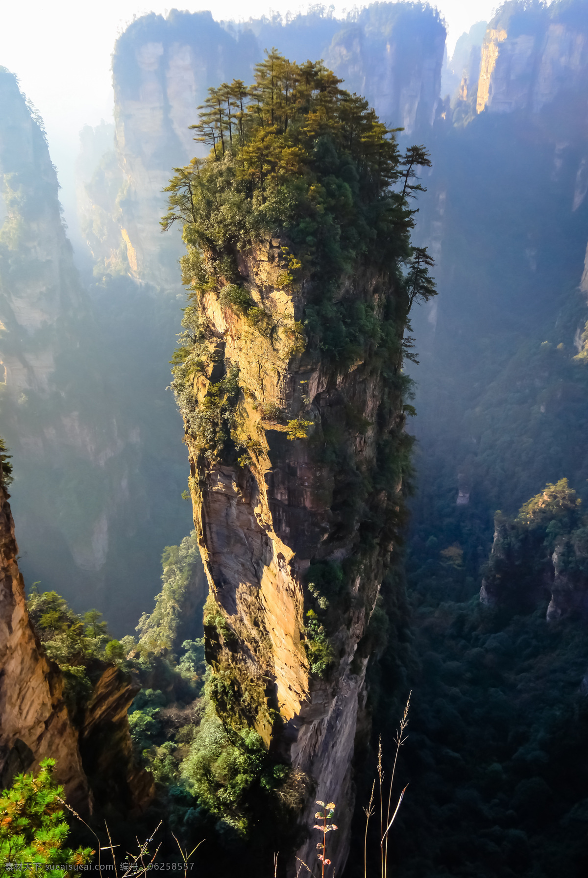 张家界 风景摄影 美丽风景 美丽风光 自然美景 美丽景色 山水风景 风景图片