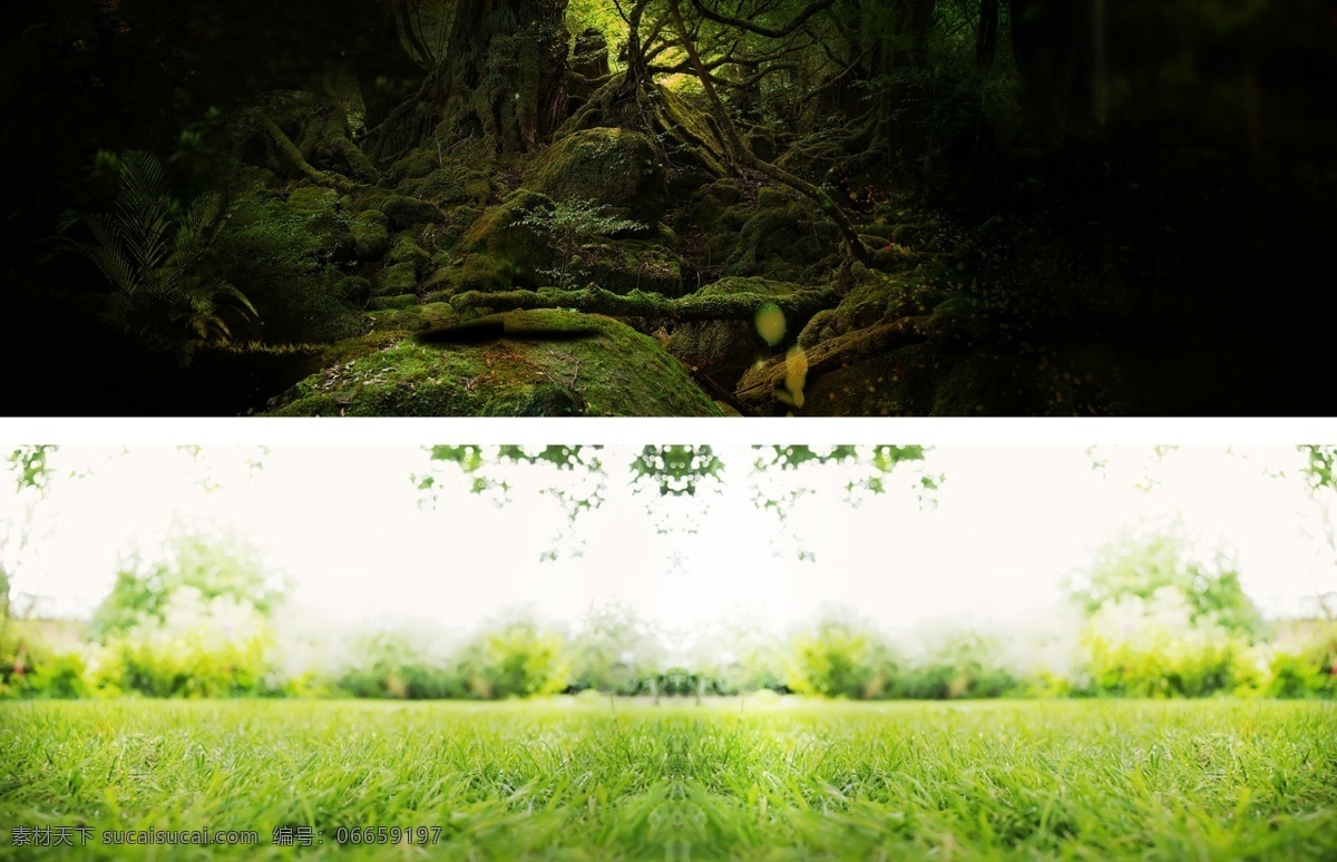 淘宝 天猫 绿色 草地 背景 绿色草地 树根 梦幻森林 黑色
