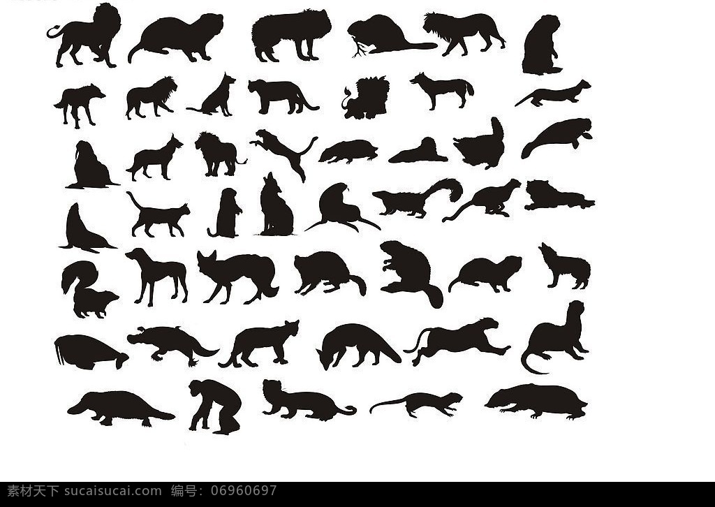 各种 动物 剪影 矢量图 矢量 黑白 生物世界 野生动物 矢量图库