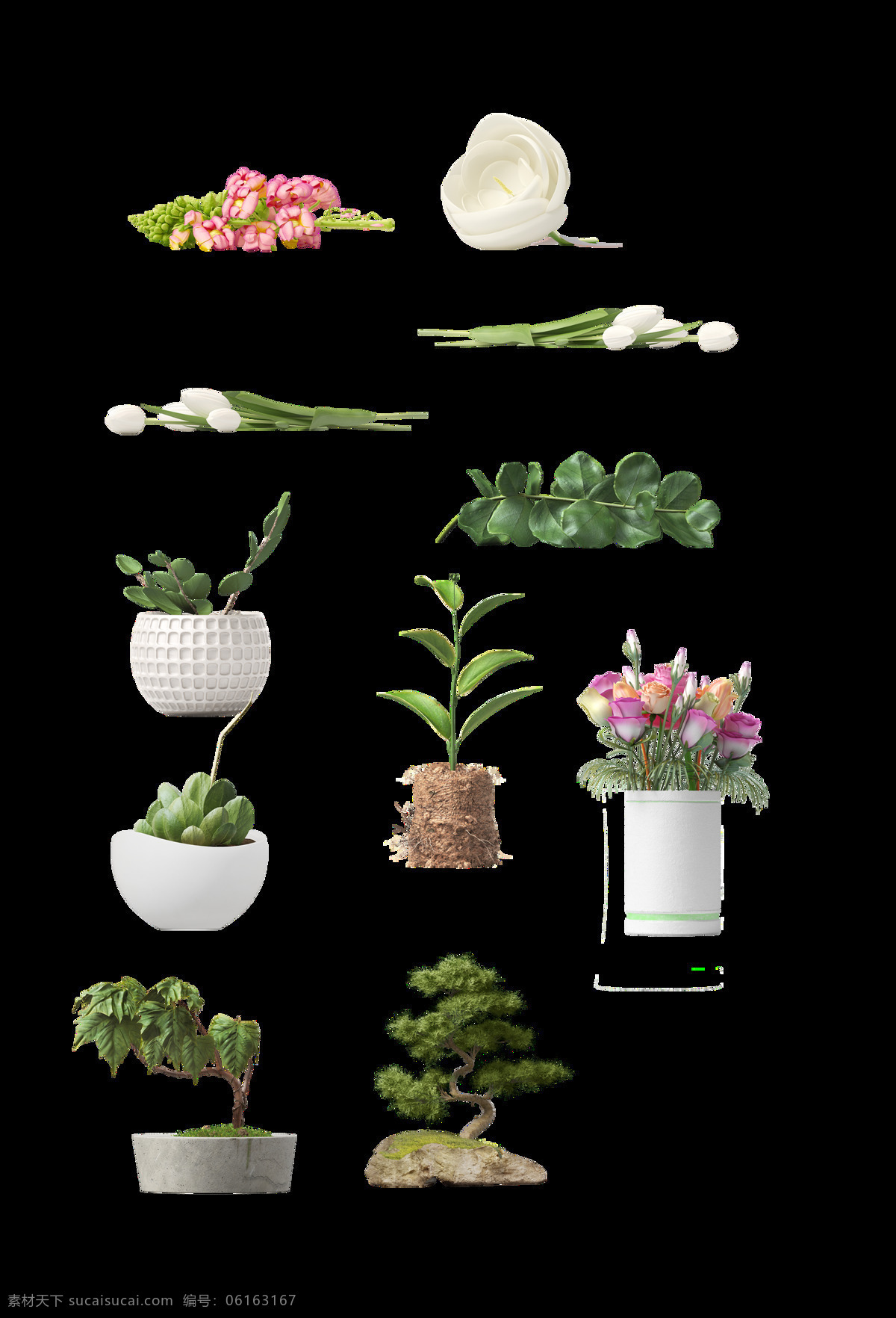 各种 植物 盘 栽 透明 装饰 摆放 花朵 花盘 白色花 透明素材 免扣素材