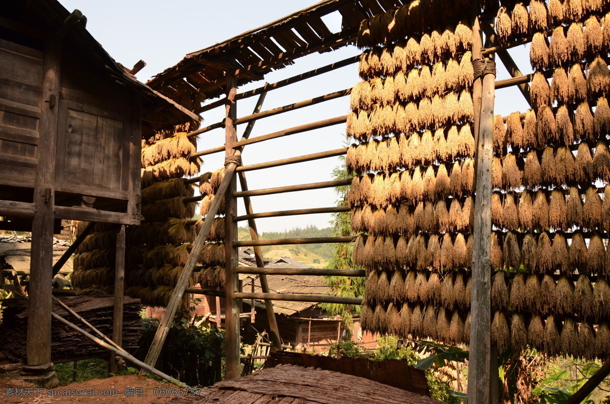 岜沙 古镇 干阑式建筑 晒稻谷 木屋 少数名族 人文景观 旅游摄影