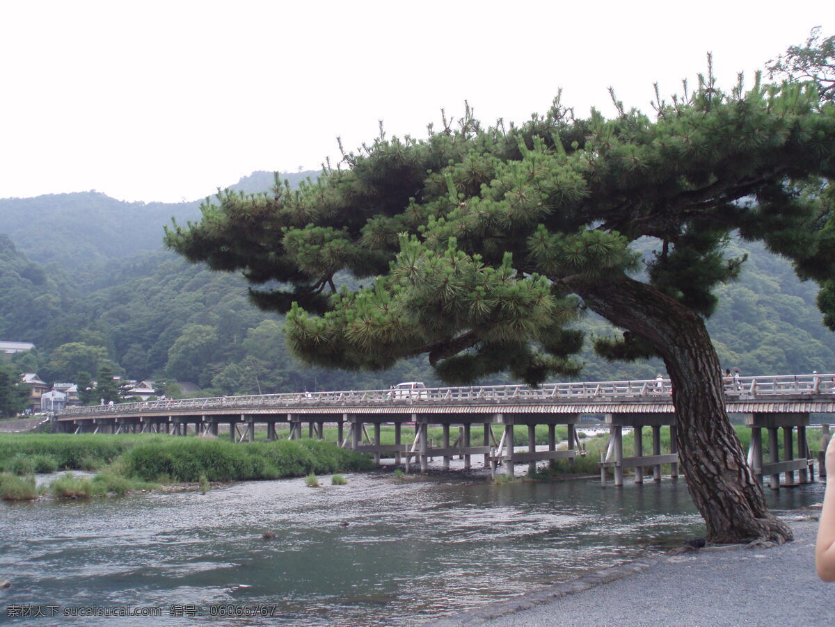 渡月桥 日本 旅游摄影 人文景观 摄影图库