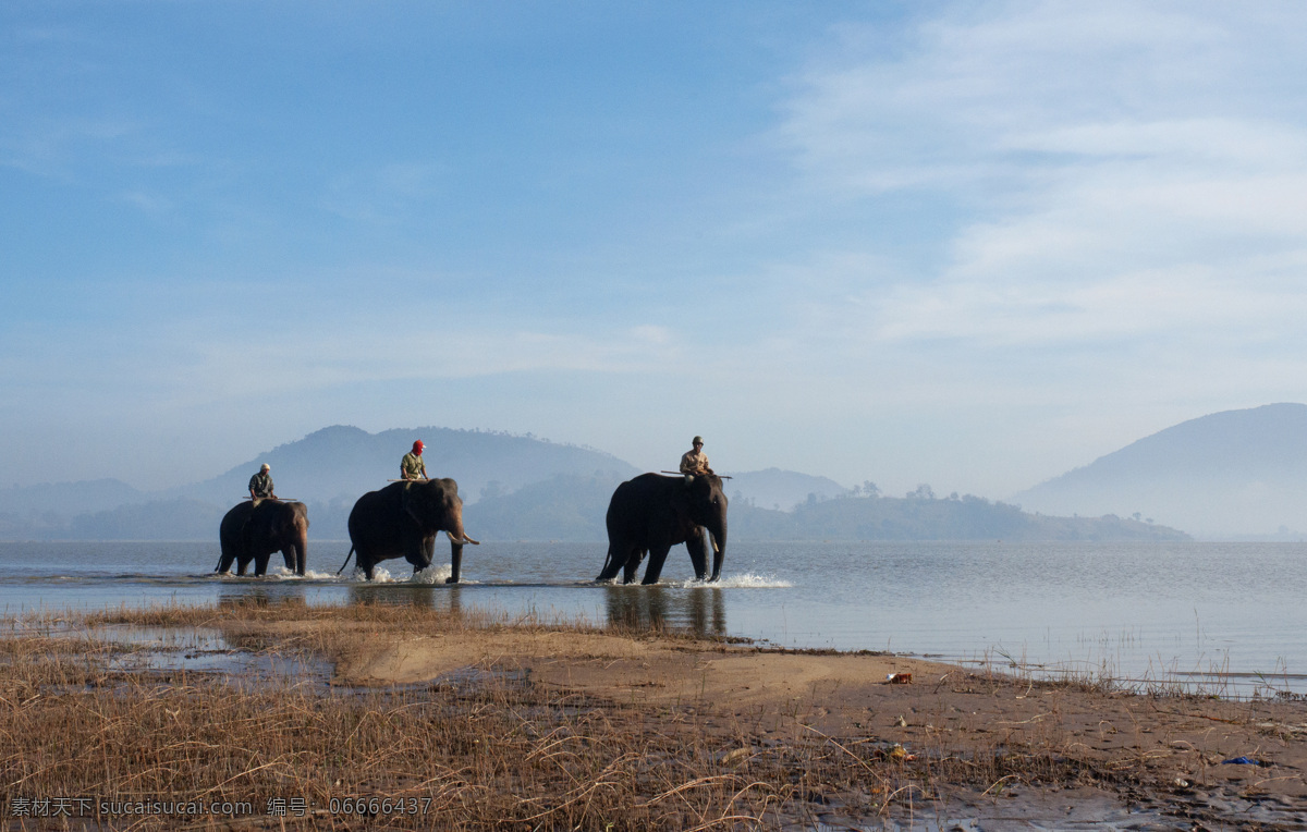 湖泊 里 大象 蓝天 大象摄影 动物摄影 动物世界 陆地动物 生物世界