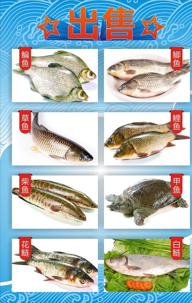 活动 宣传 促销 海报 淡水鱼海报 活动宣传 促销海报 美食食材 淡水鱼 鱼海报 出售淡水鱼