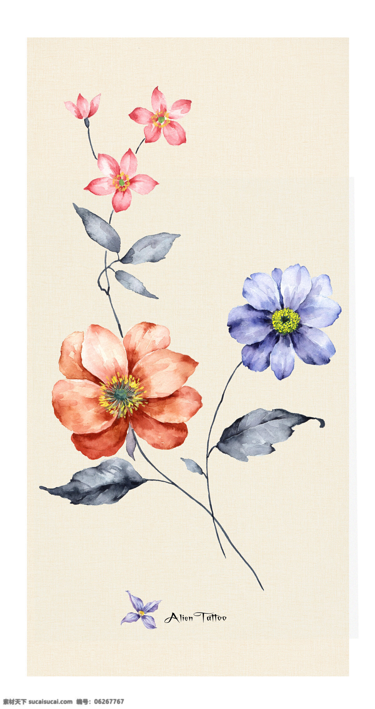 现代 简约 小 清新 绘画 花朵 装饰 图案 水彩 小清新 鲜花 植物 装饰画 文化艺术 绘画书法