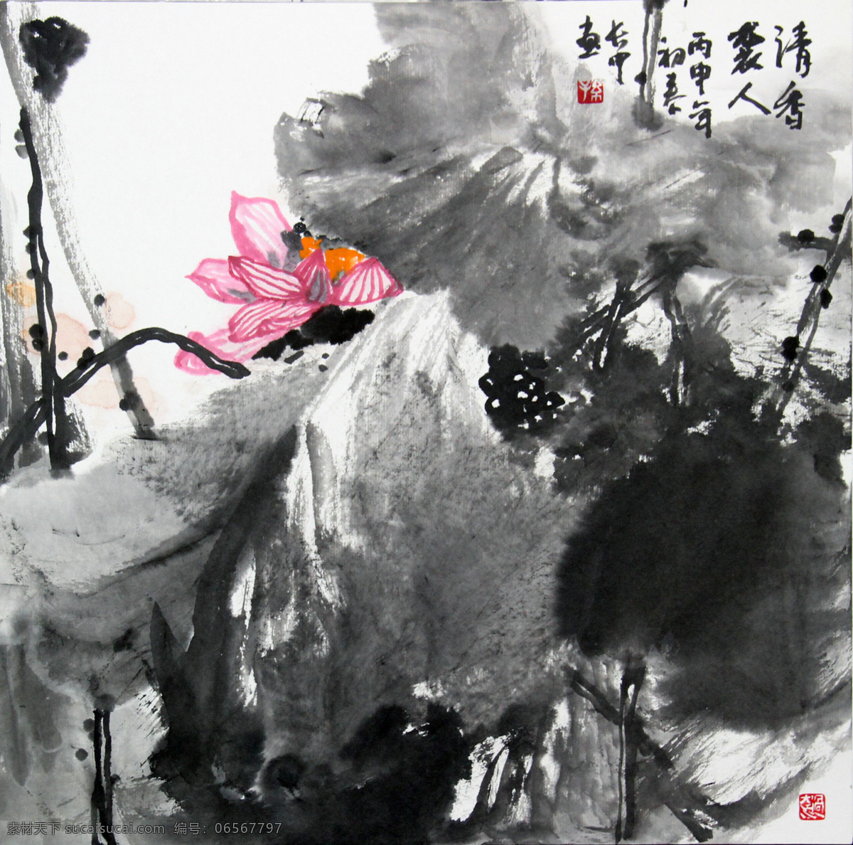 水墨 荷花 清香 袭 人 无锡 画家孙长中 中国画 水墨画 水墨荷花 小品 斗方 文化艺术 绘画书法