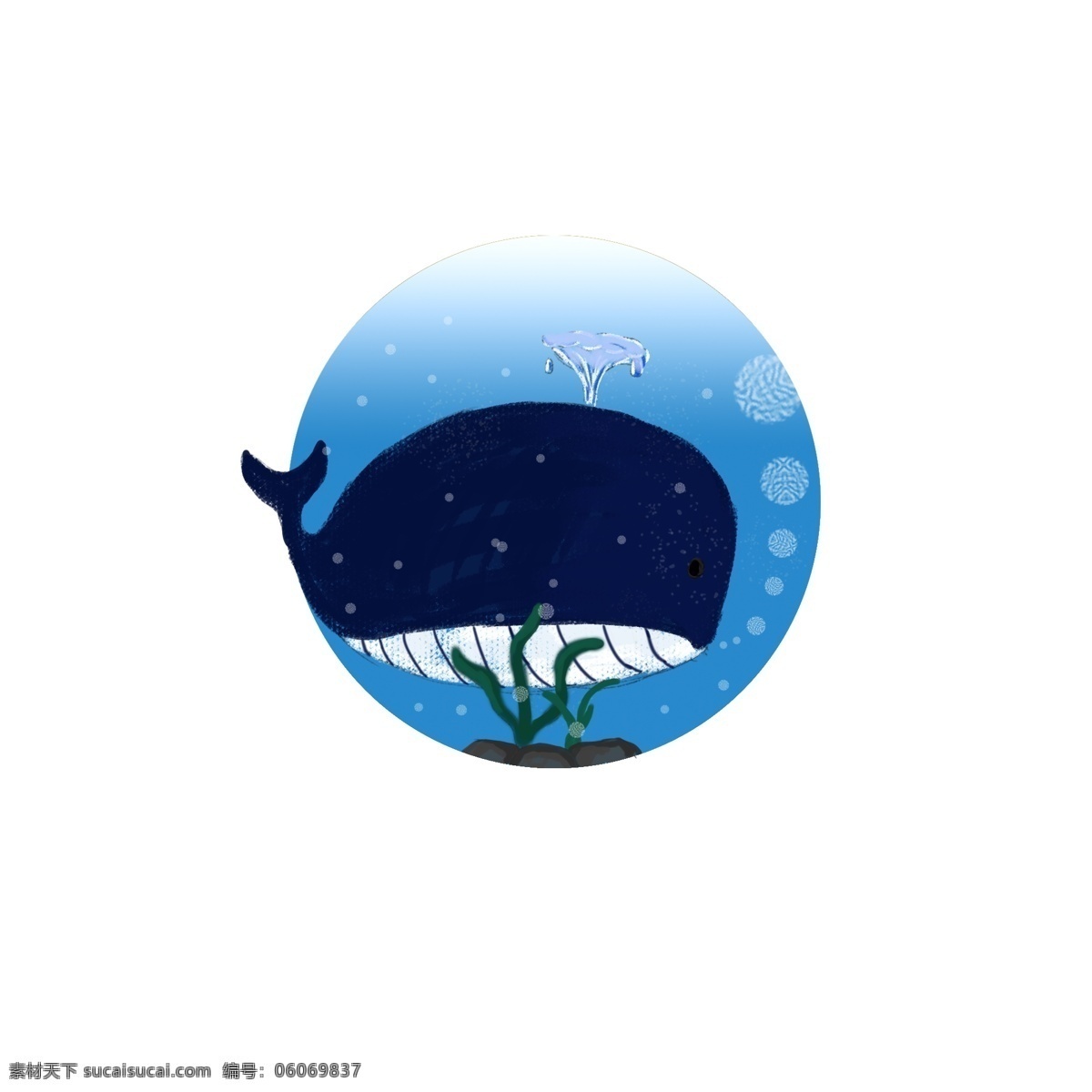 手绘 深蓝色 小 鲸鱼 商用 海洋动物 小鲸鱼 卡通
