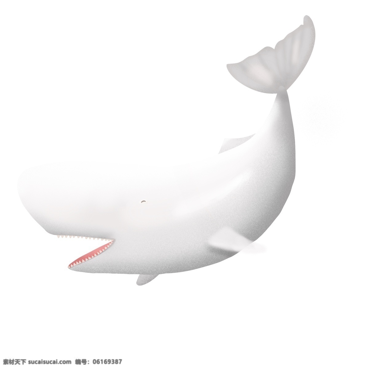 手绘 卡通 可爱 微笑 灰白色 抹香鲸 鲸鱼 海洋生物 世界海洋日 鱼 海鱼