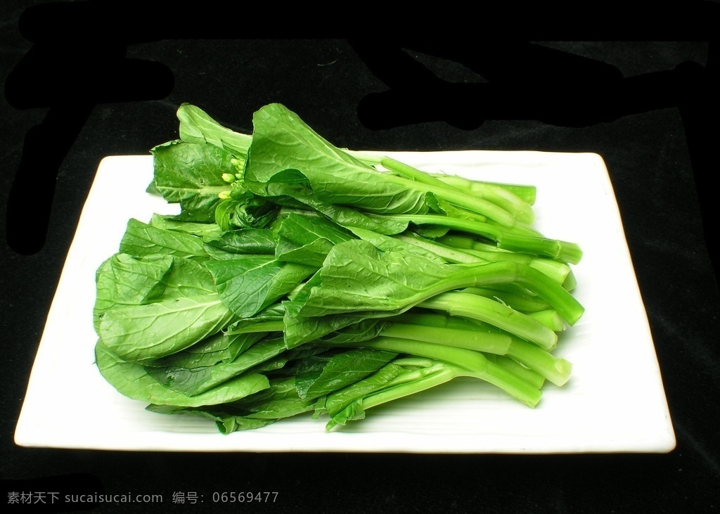 菜心 点心 地方菜 素菜 时蔬 小吃 甜品 粤菜 川菜 美食 传统美食 中餐 徐州菜 淮扬菜 蔬菜 生物世界