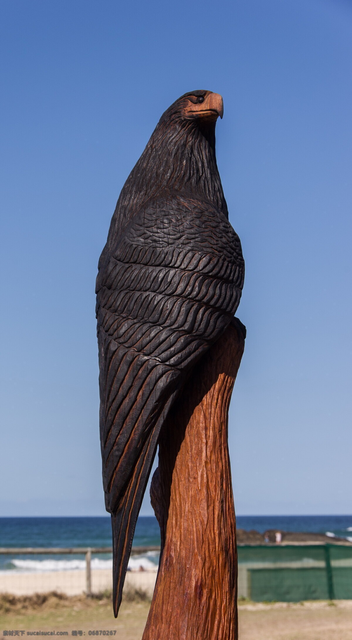 鸟类 木雕 高清 飞禽 鸟类木雕 动物 木雕作品