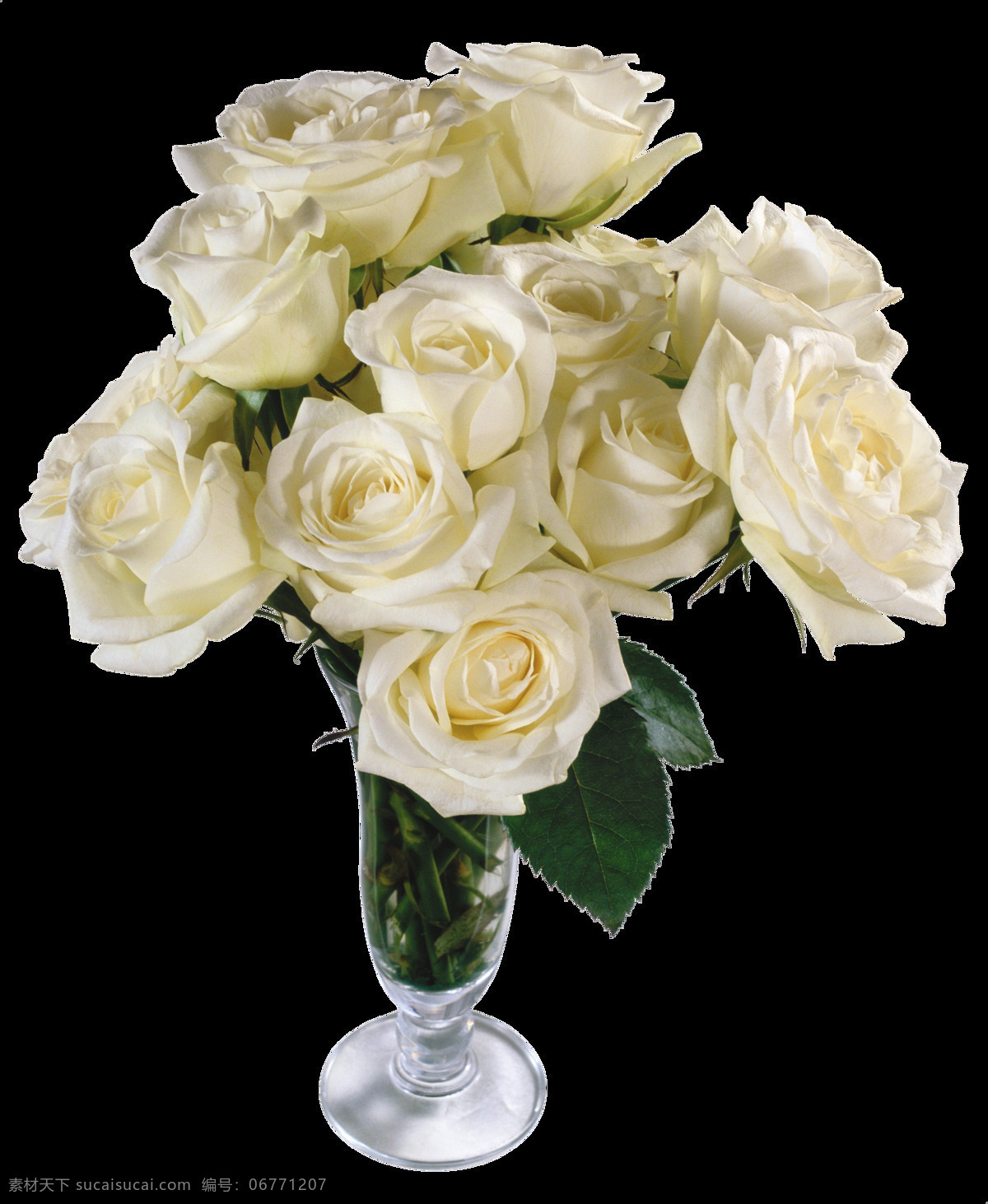 白 玫瑰 插花 免 抠 透明 图 层 蓝白玫瑰 雪白玫瑰 一朵白玫瑰 白玫瑰花图片 唯美 法国 粉白玫瑰 白玫瑰图片 白玫瑰海报 大全 白玫瑰 玫瑰花图片