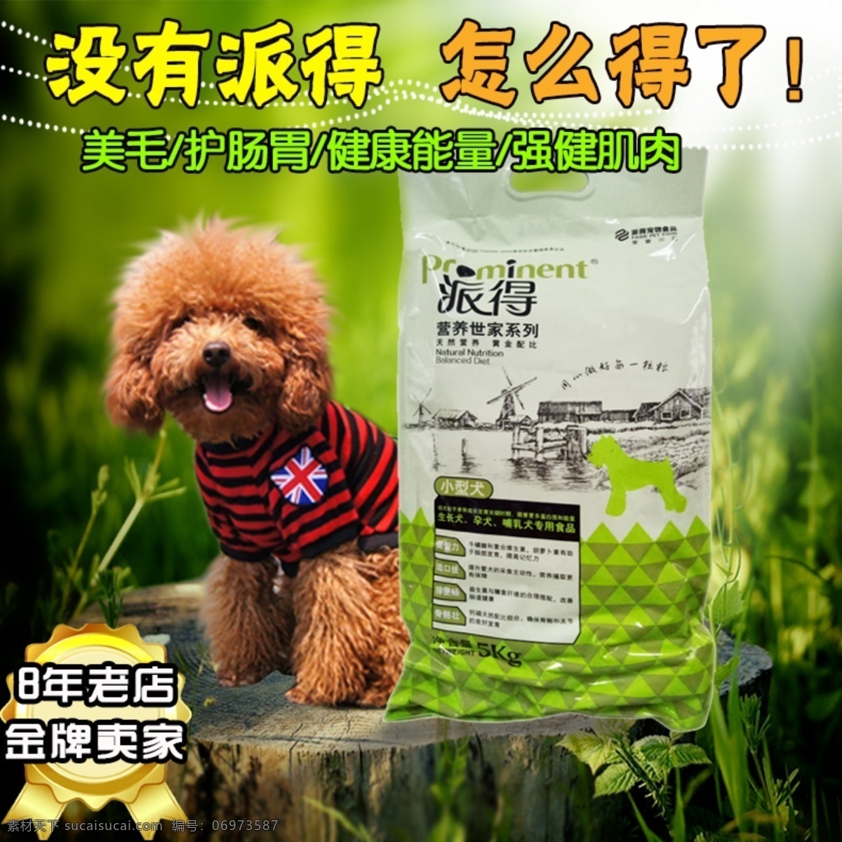 清新自然风 原创狗粮主图 泰迪狗 狗粮