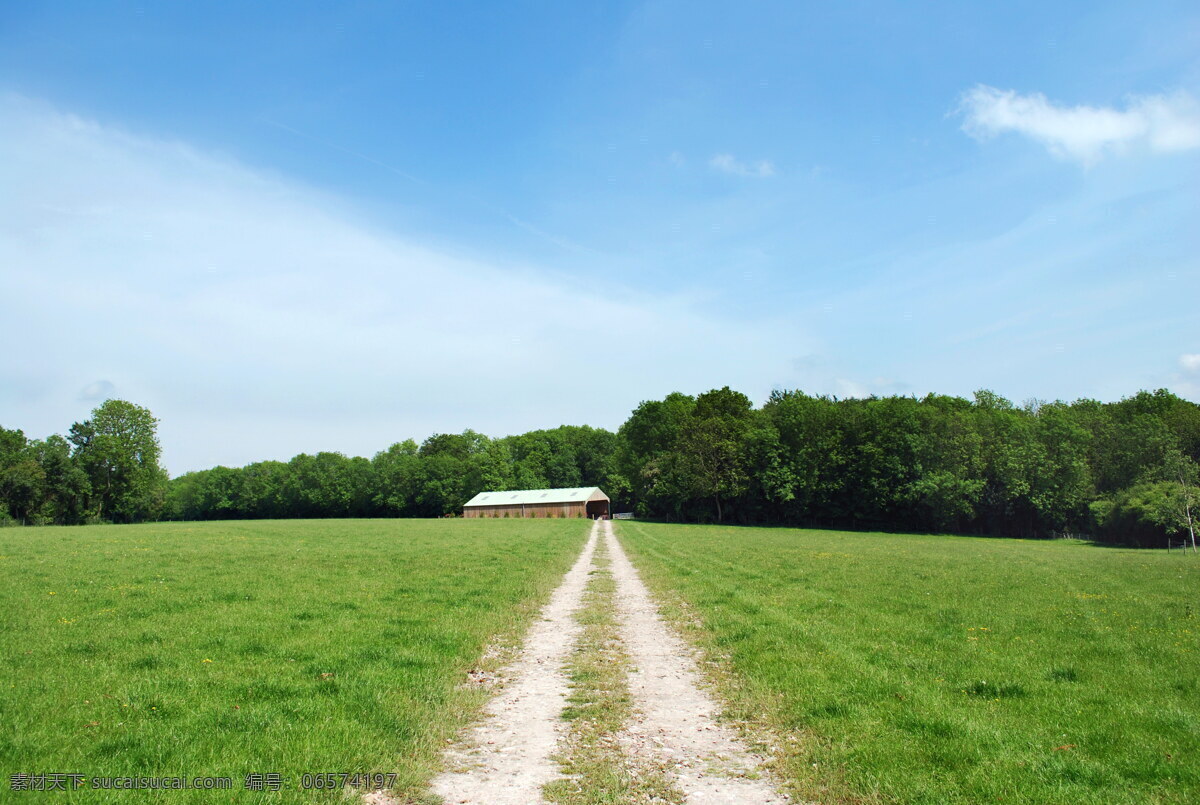 绿色 草坪 风景 高清 草地风景 草地 青草地