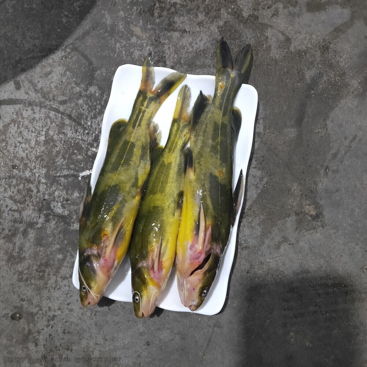 鄱阳湖水产品 黄丫头鱼 黄骨鱼 拍摄 淡水鱼 摄影图 餐饮美食 食物原料