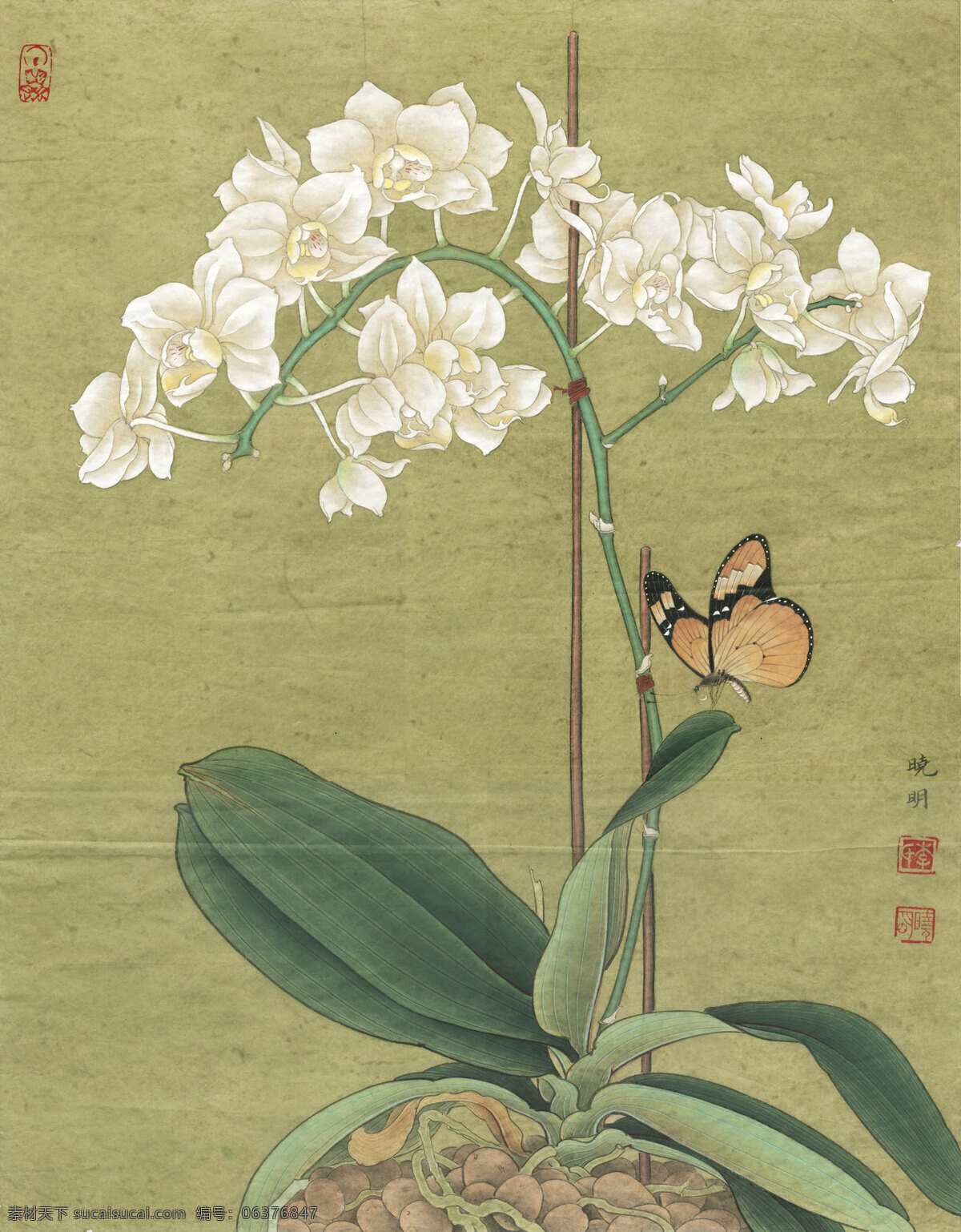 李晓明 工笔 花鸟 高清 图 工笔画 字画 国画 走廊挂画 客厅挂画 教室挂画 花鸟画 工笔花鸟 工笔国画 工笔荷花 工笔画欣赏 工笔画素材 文化艺术 绘画书法 高清工笔画 风景