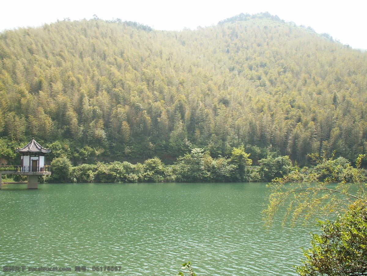 竹海 湖亭 湖 旅游摄影 亭 竹林 自然风景 竹海湖亭 宜兴风光 矢量图 日常生活