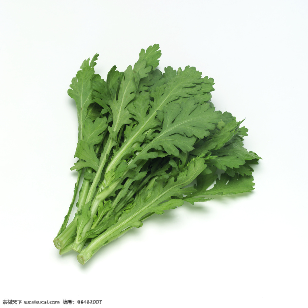 茼蒿 青菜 野菜 绿色蔬菜 蔬菜 新鲜蔬菜 生物世界