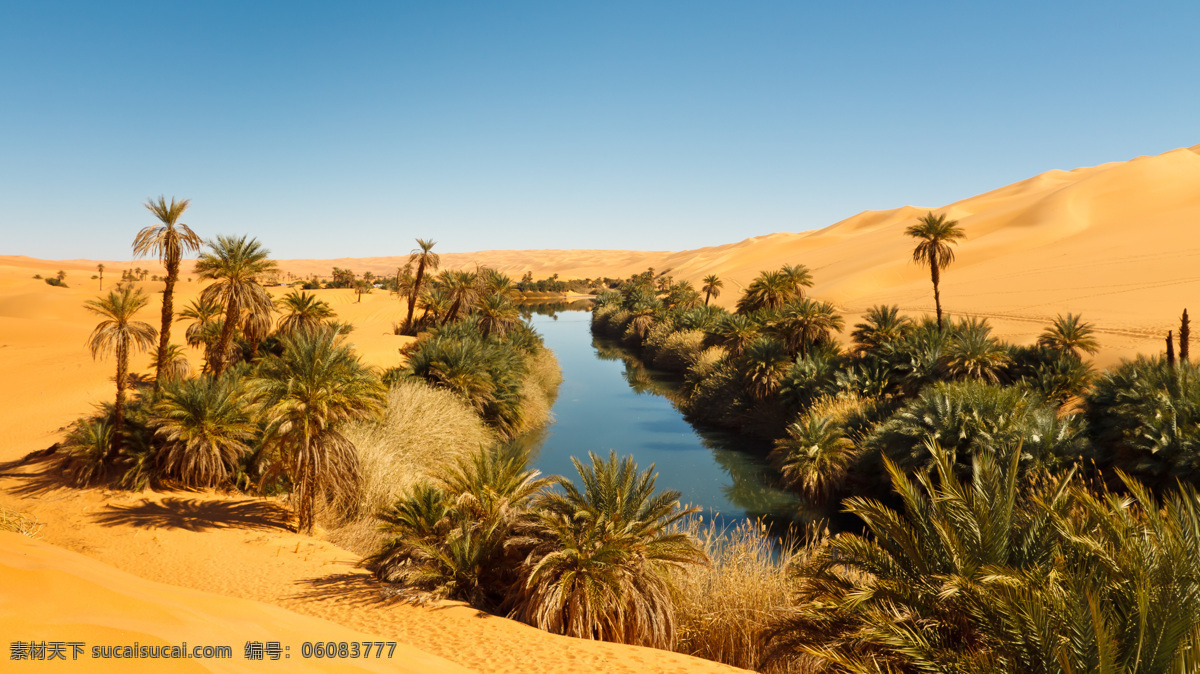 沙漠 里 水渠 植物 绿洲风景 景色 自然风景 绿洲 绿色植物 沙漠图片 风景图片