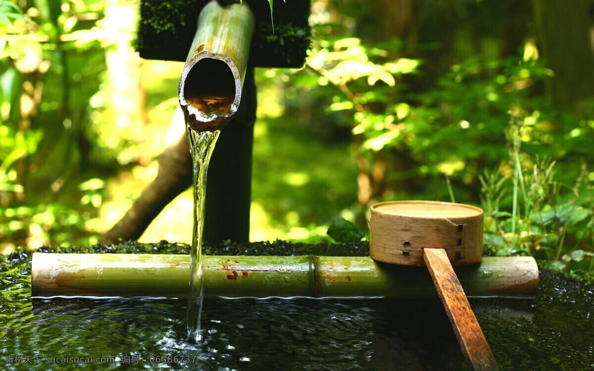 泉水免费下载 纯净 大自然 泉水 山泉水 天然 竹 水瓢 背景图片