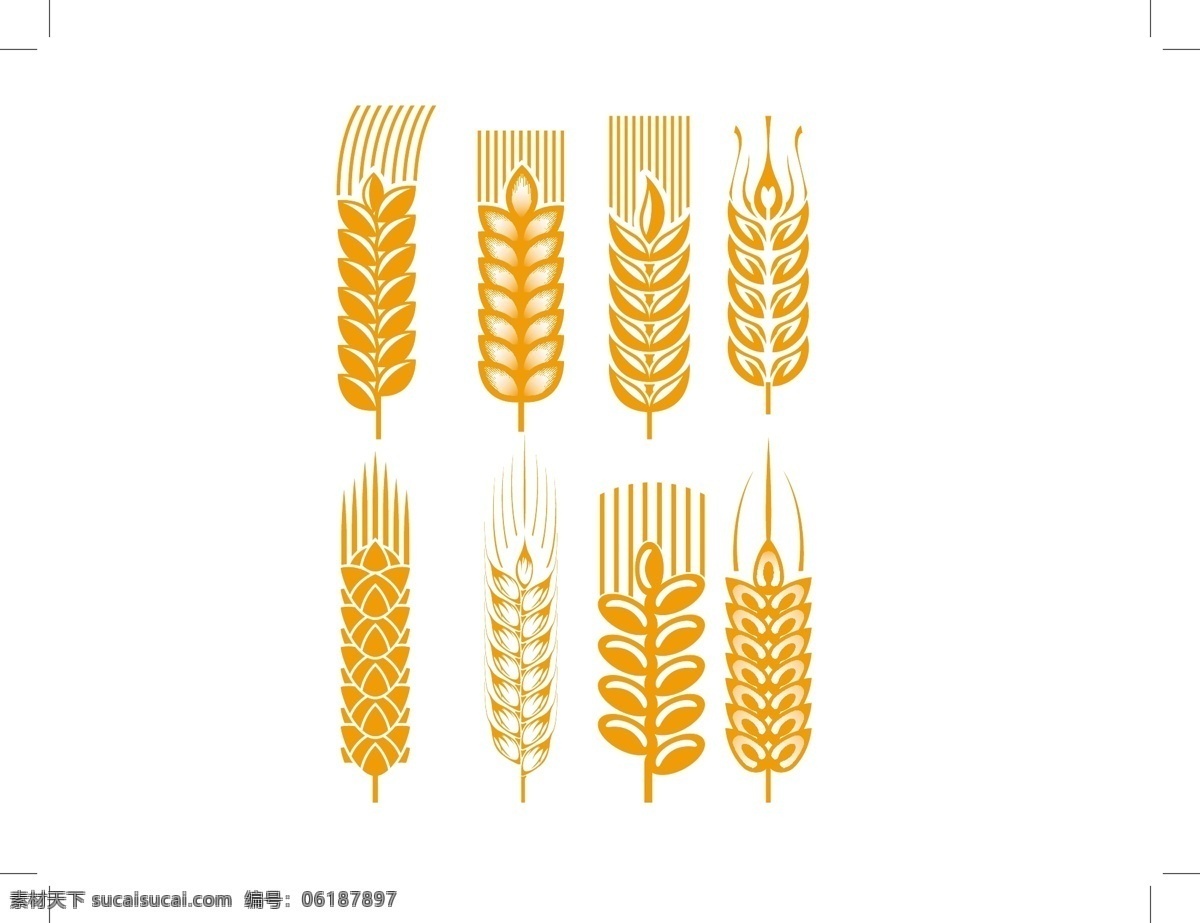 小麦 矢量 材料 徽章 金色的 图案 图形 矢量图 其他矢量图
