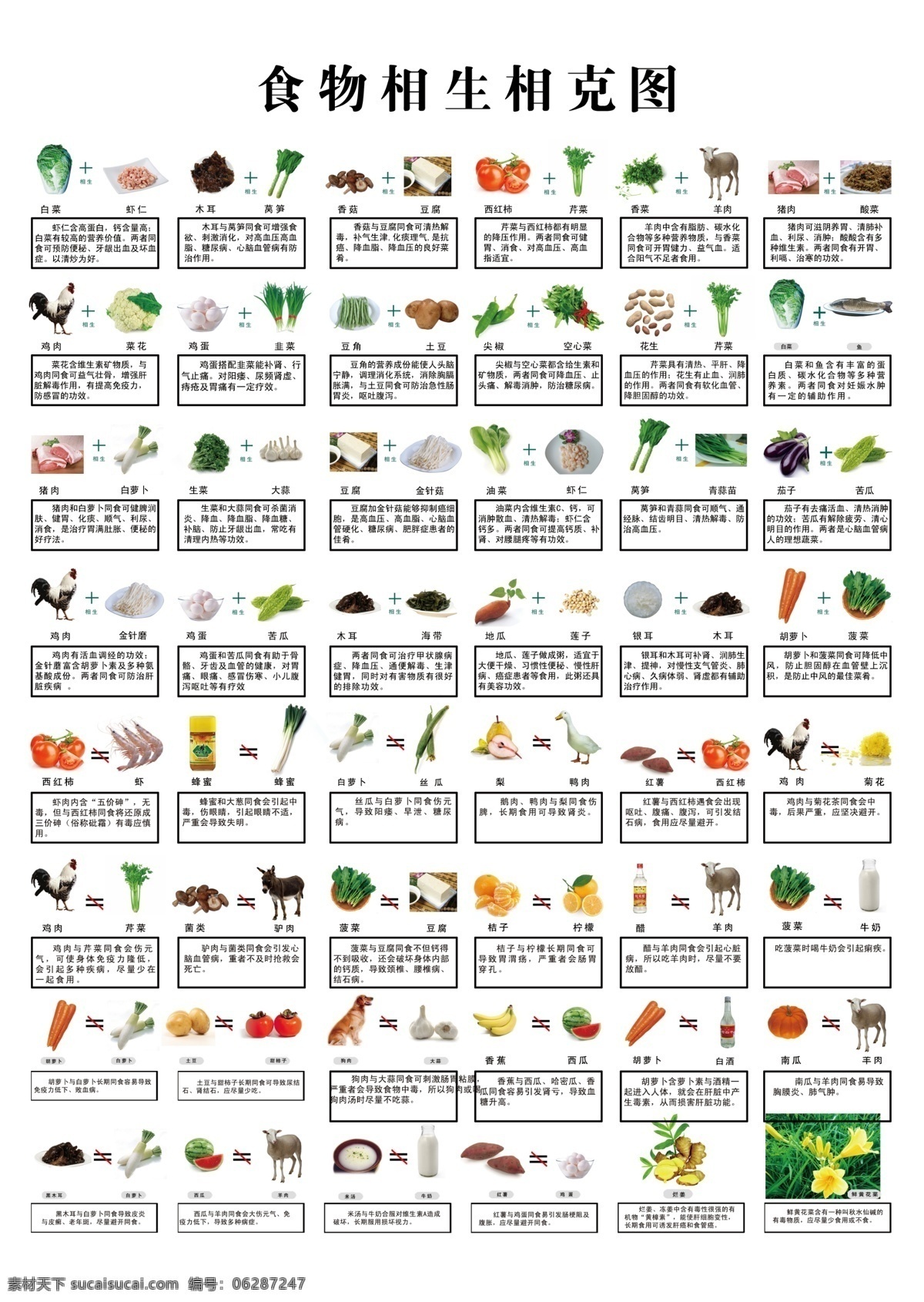 食物相克图 相生相克图 食物 相生相克 图 相克 相生 说明 健康饮食 生活百科 分层 源文件